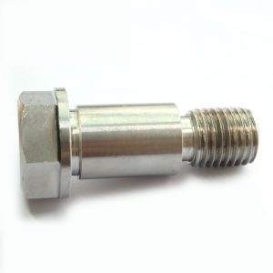 Alloy 1.4539  Steel bolts Screws