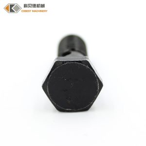 Customized Fastener Black Plating CNC Machine Turning Hexagon Bolt