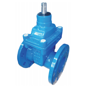 NRS Resilient Seated Gate Valve